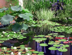 冬季沖鋒衣定做